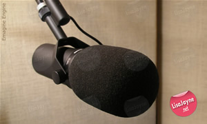 Shure SM7B Vocal Mic
